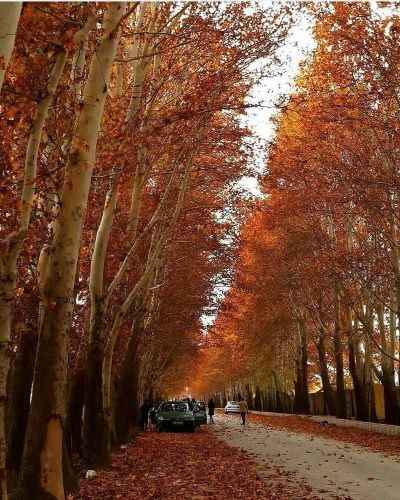 image-خوشنام-میهمانی