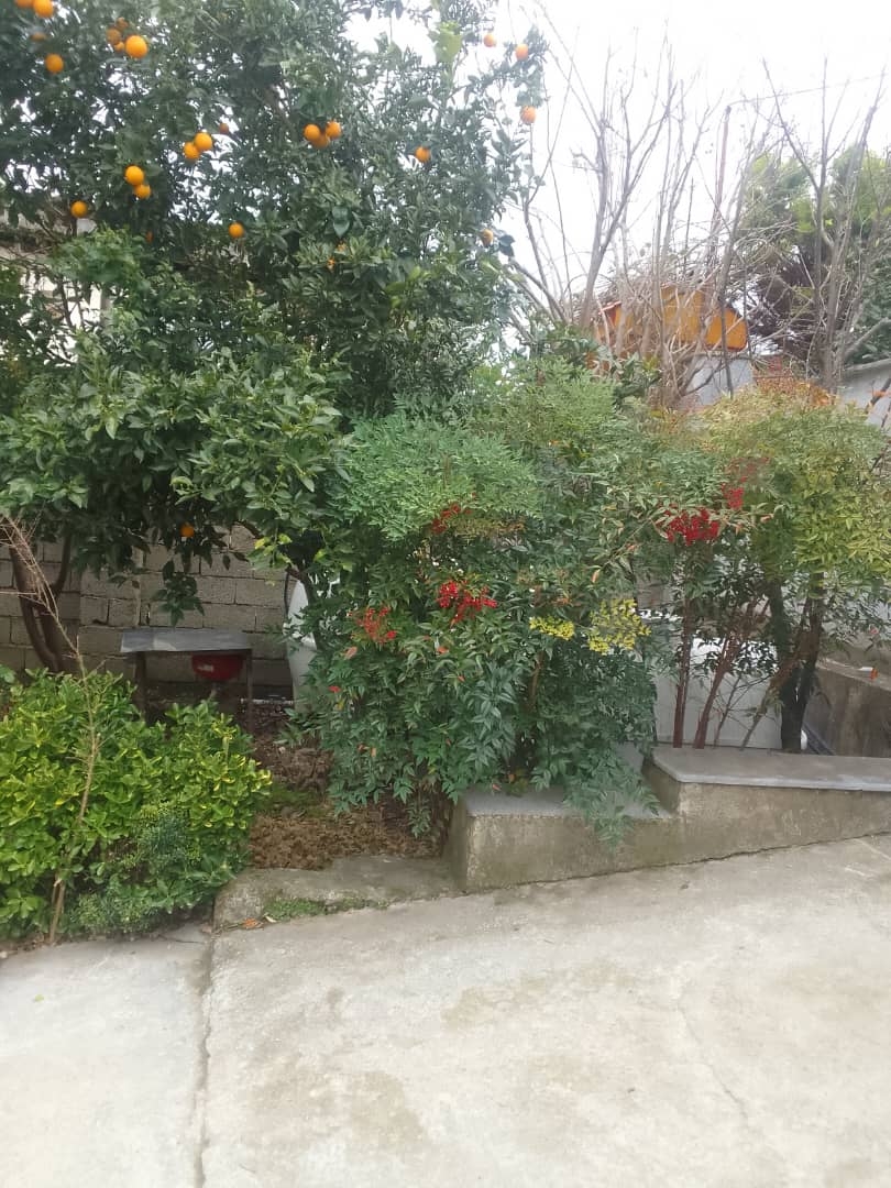 سوئیت در روستای نیاسته - رامسر-5